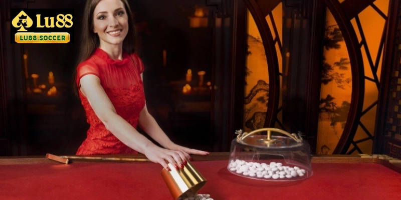 Quy trình chơi Fantan theo từng bước