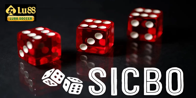 Cách đánh Sic Bo theo chu kỳ