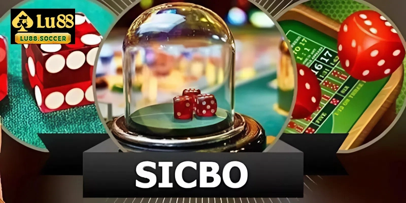 Giới thiệu về trò chơi Sic Bo
