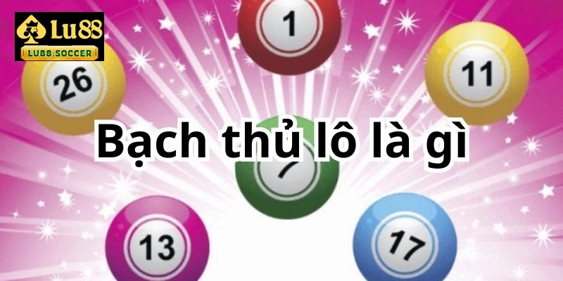 Bạch thủ lô là gì?